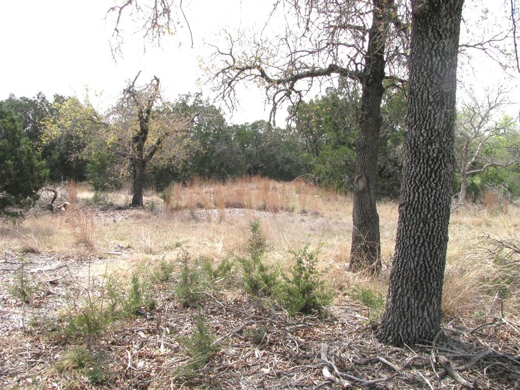 Lot 16-ph Private Road Evant, TX 76525 - Photo 18 of 23 a view of lake with a tree