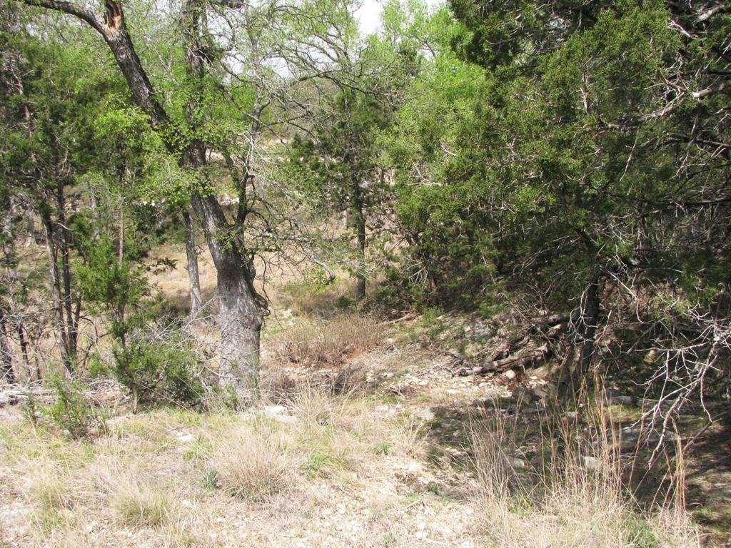 Lot 16-ph Private Road Evant, TX 76525 - Photo 19 of 23 a view of a yard with a tree