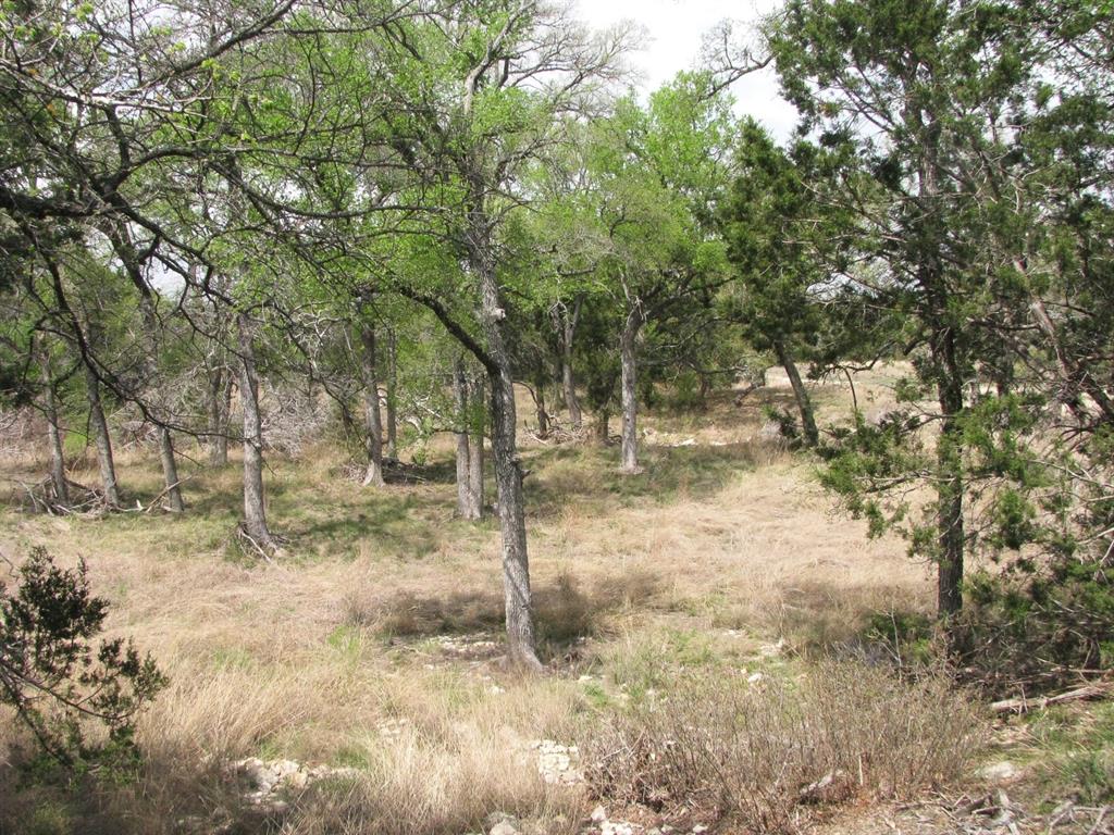 Lot 16-ph Private Road Evant, TX 76525 - Photo 20 of 23 a view of a yard with trees