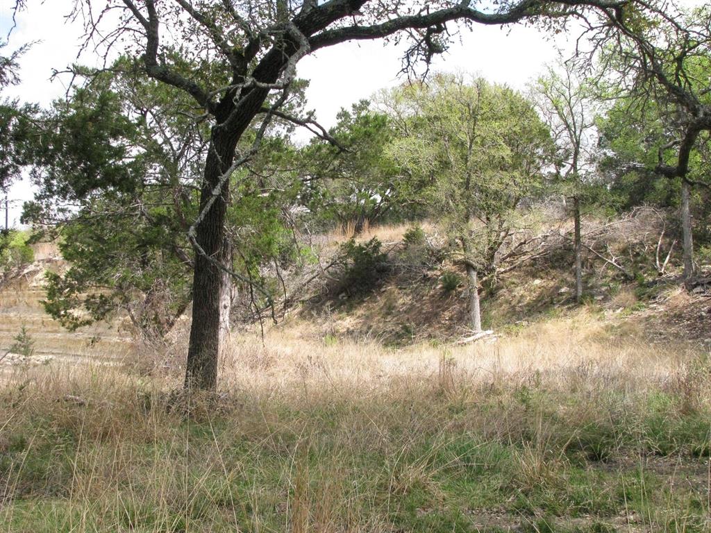 Lot 16-ph Private Road Evant, TX 76525 - Photo 21 of 23 a view of a yard
