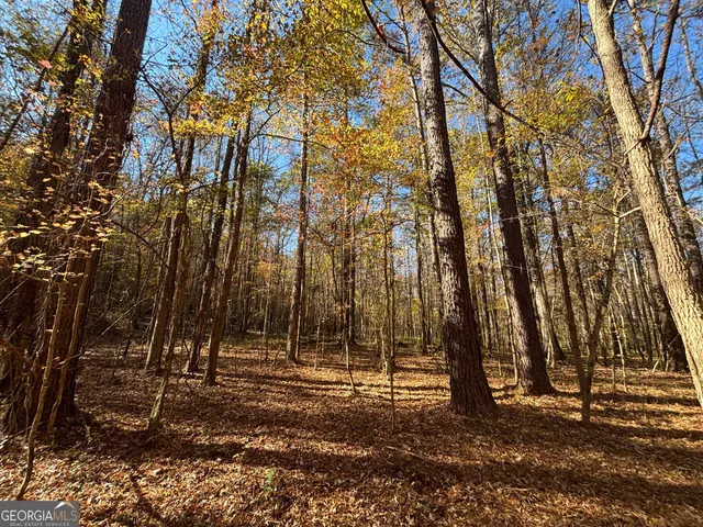 $106,400 | 0 Oconee Road, Buckhead, GA 30625