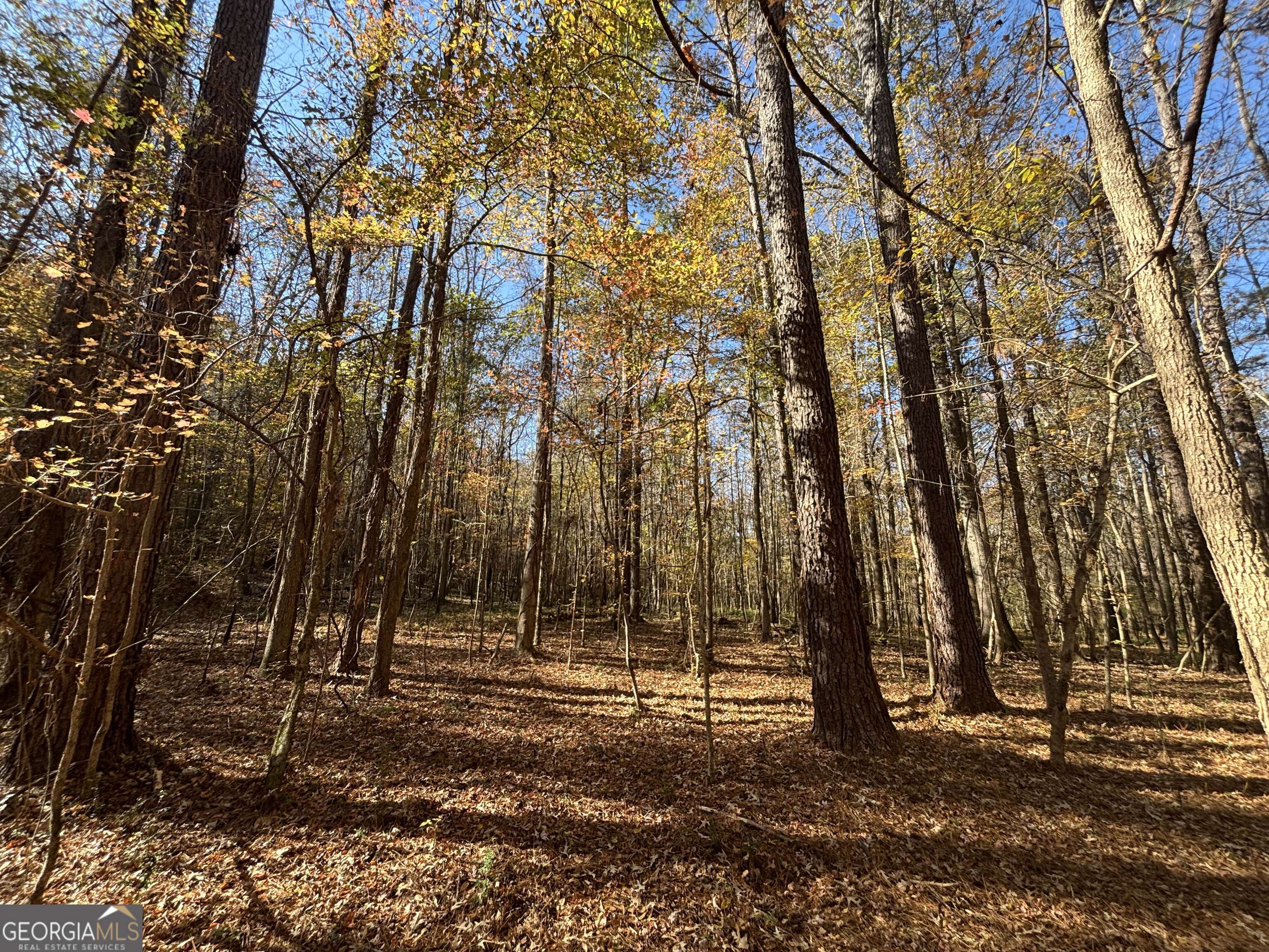 0 Oconee Road Buckhead, GA 30625 - Photo 11 of 13