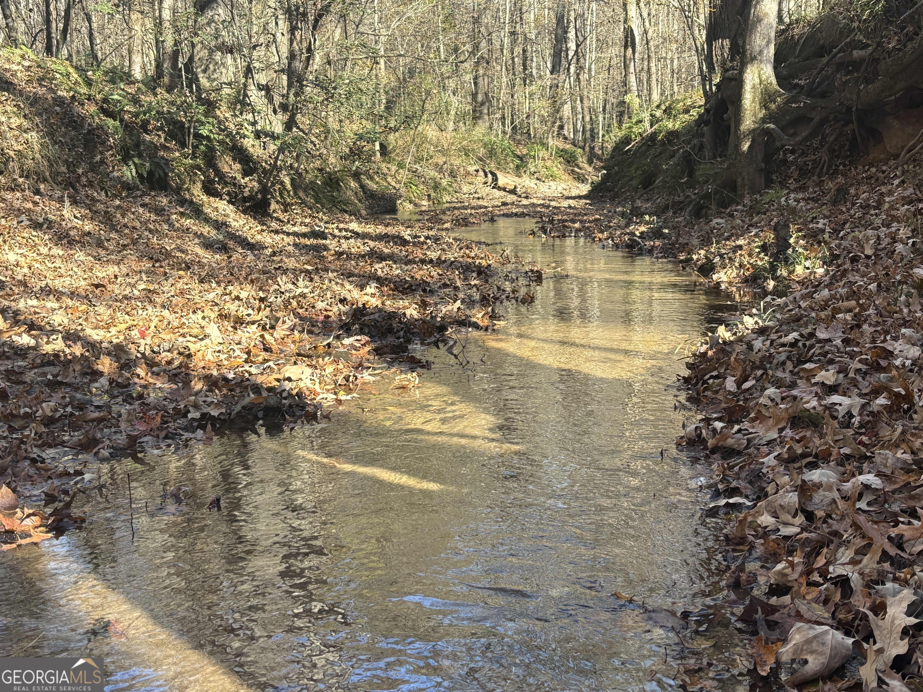 0 Oconee Road Buckhead, GA 30625 - Photo 2 of 13