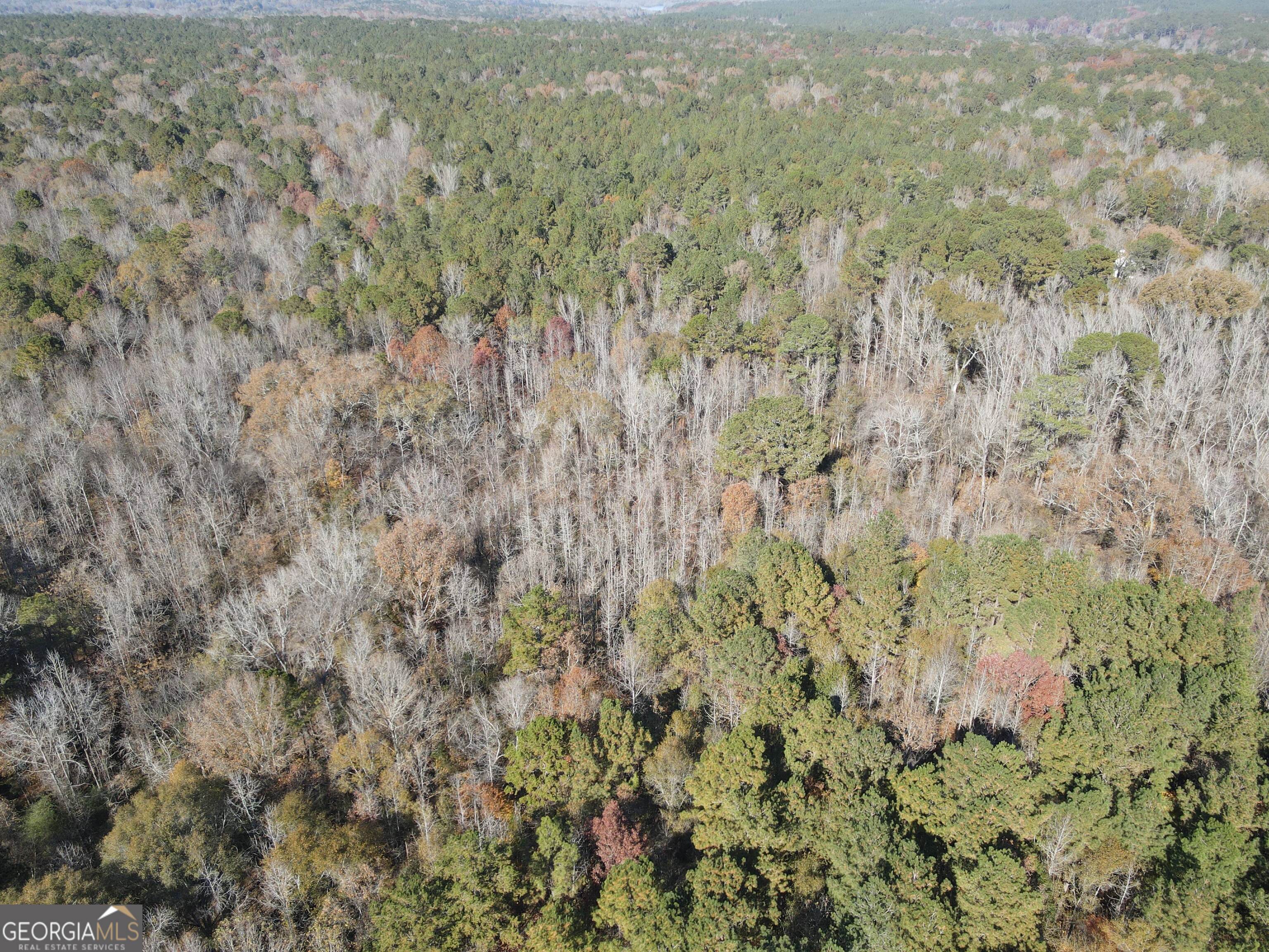 0 Oconee Road Buckhead, GA 30625 - Photo 6 of 13