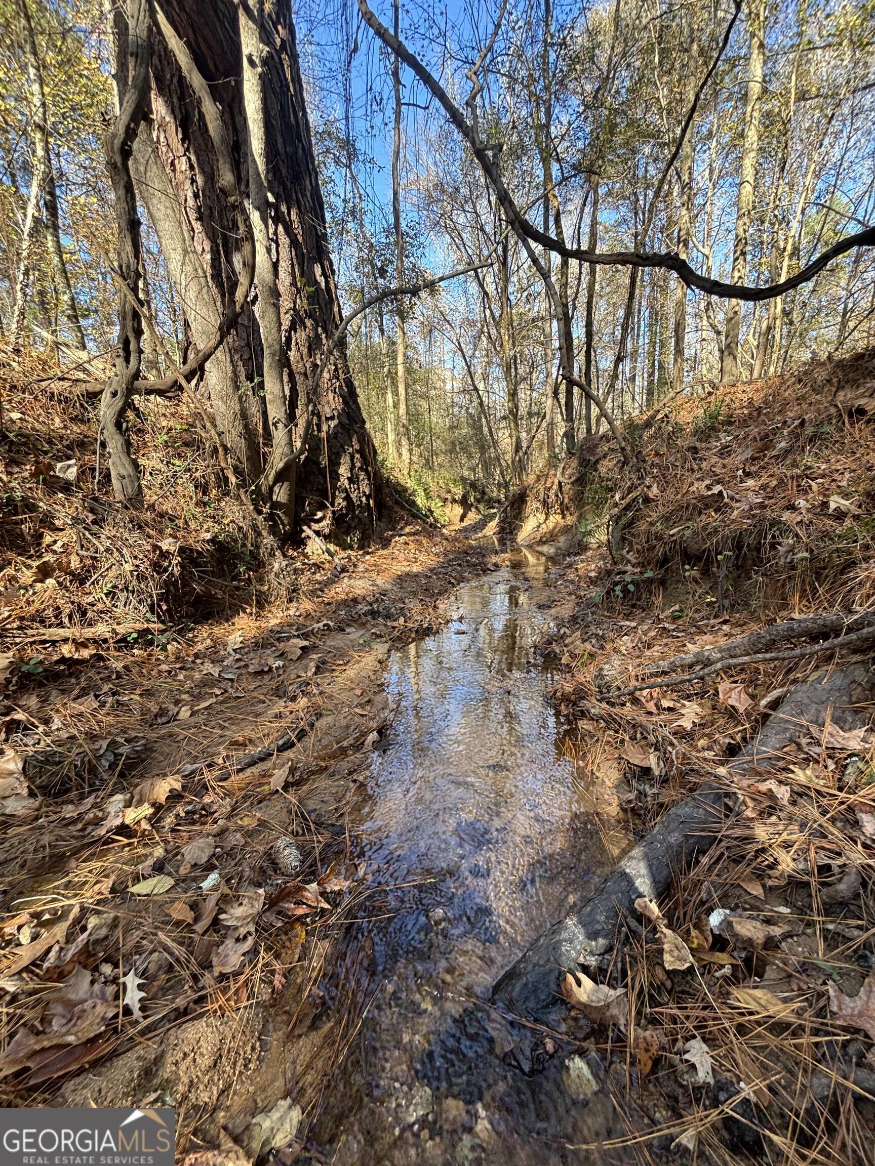 0 Oconee Road Buckhead, GA 30625 - Photo 8 of 13