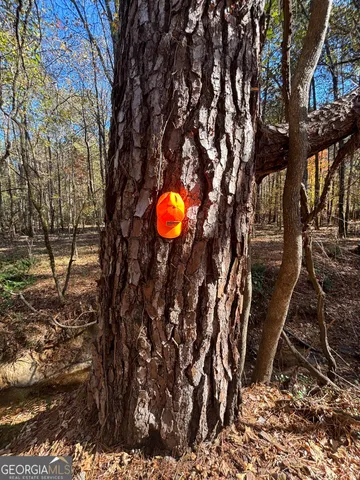 $106,400 | 0 Oconee Road, Buckhead, GA 30625