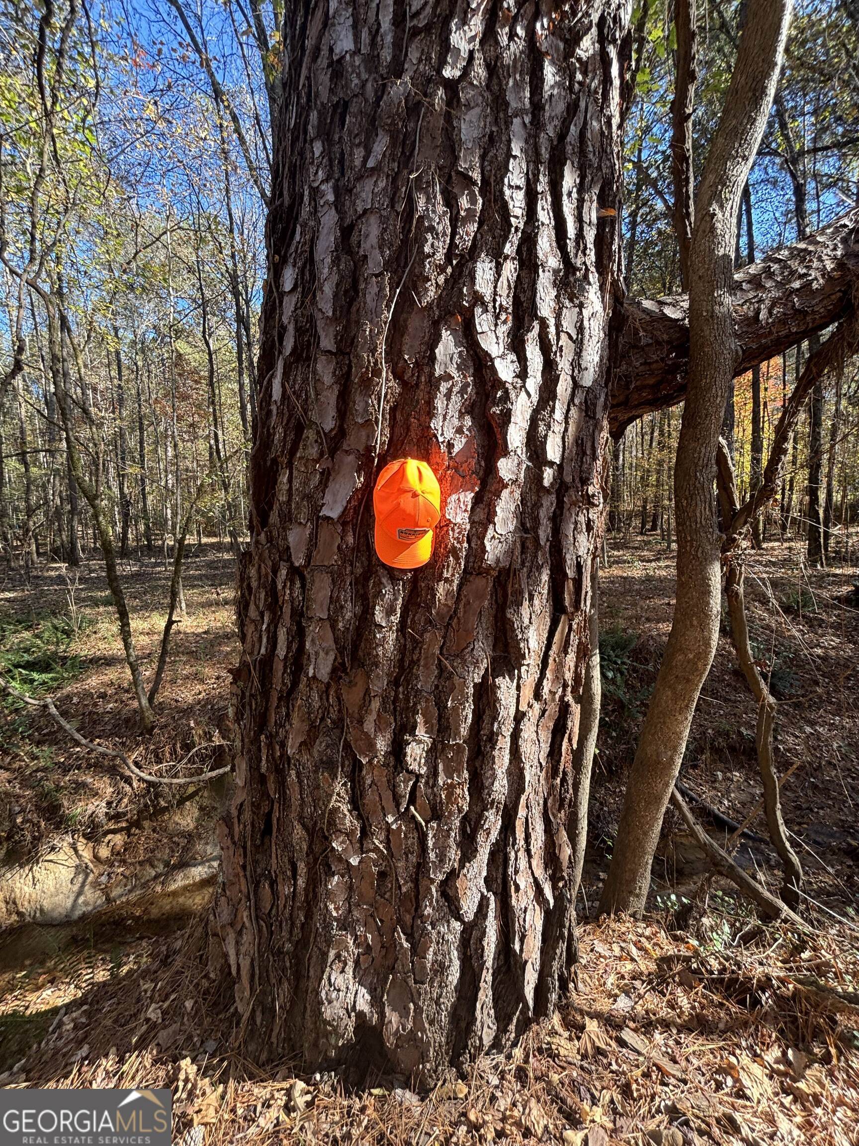 0 Oconee Road Buckhead, GA 30625 - Photo 9 of 13