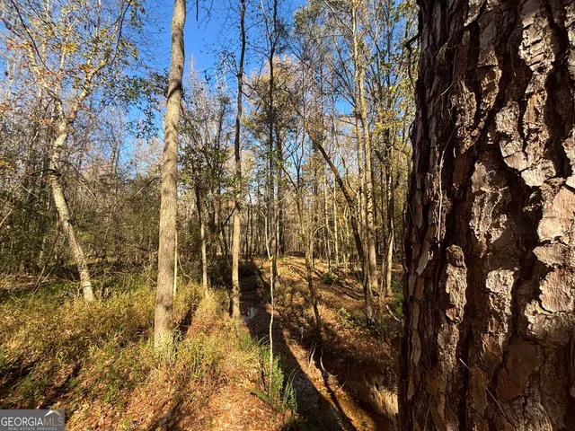 $106,400 | 0 Oconee Road, Buckhead, GA 30625