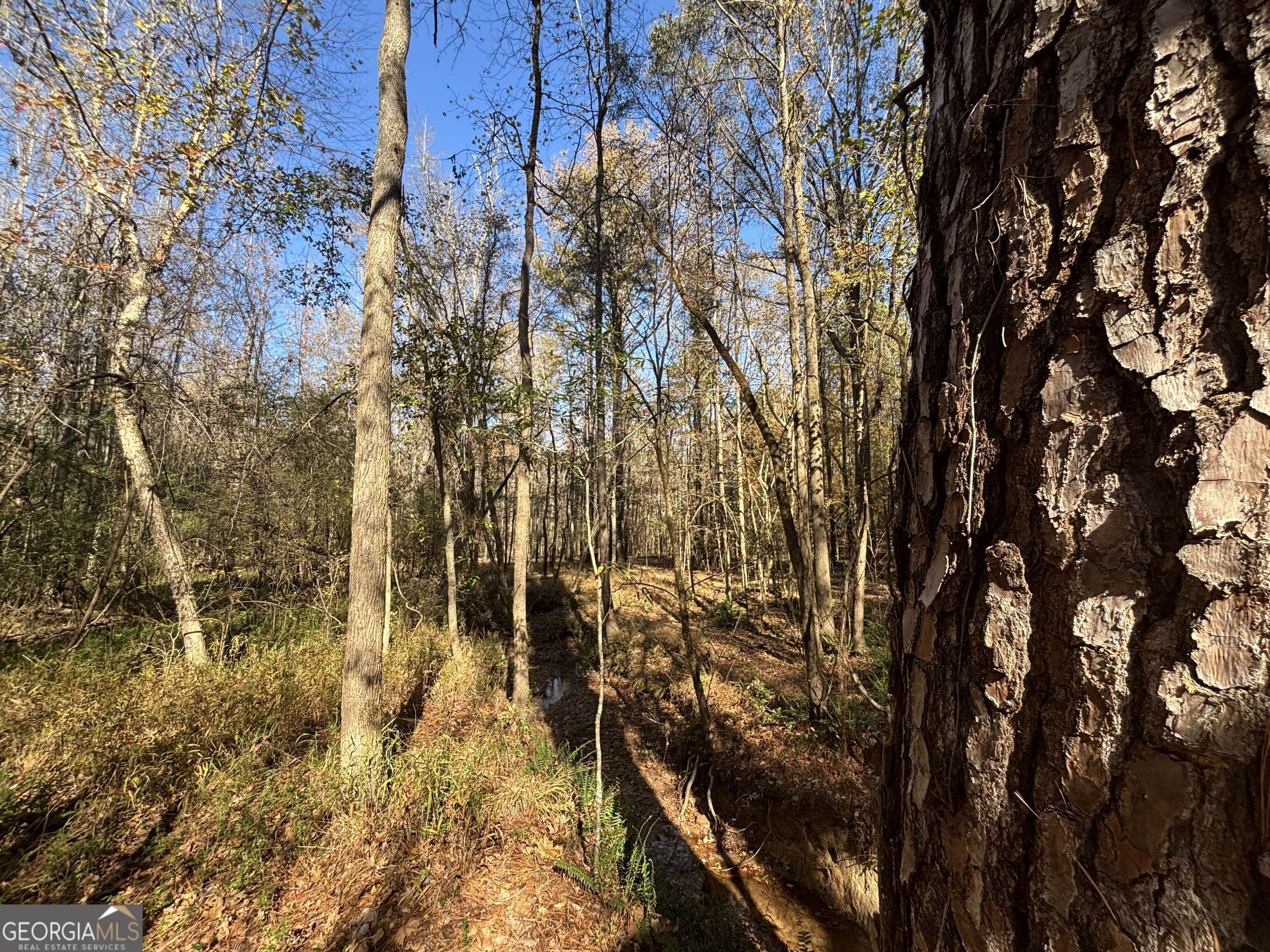 0 Oconee Road Buckhead, GA 30625 - Photo 10 of 13