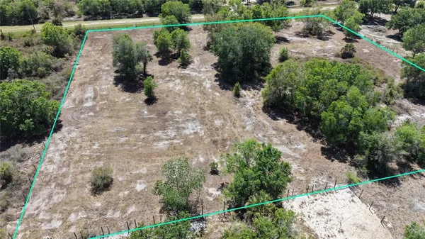 a view of a yard with plants and trees
