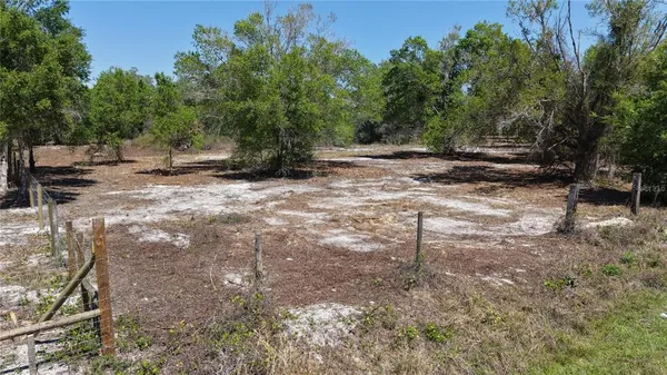 a view of outdoor space with trees
