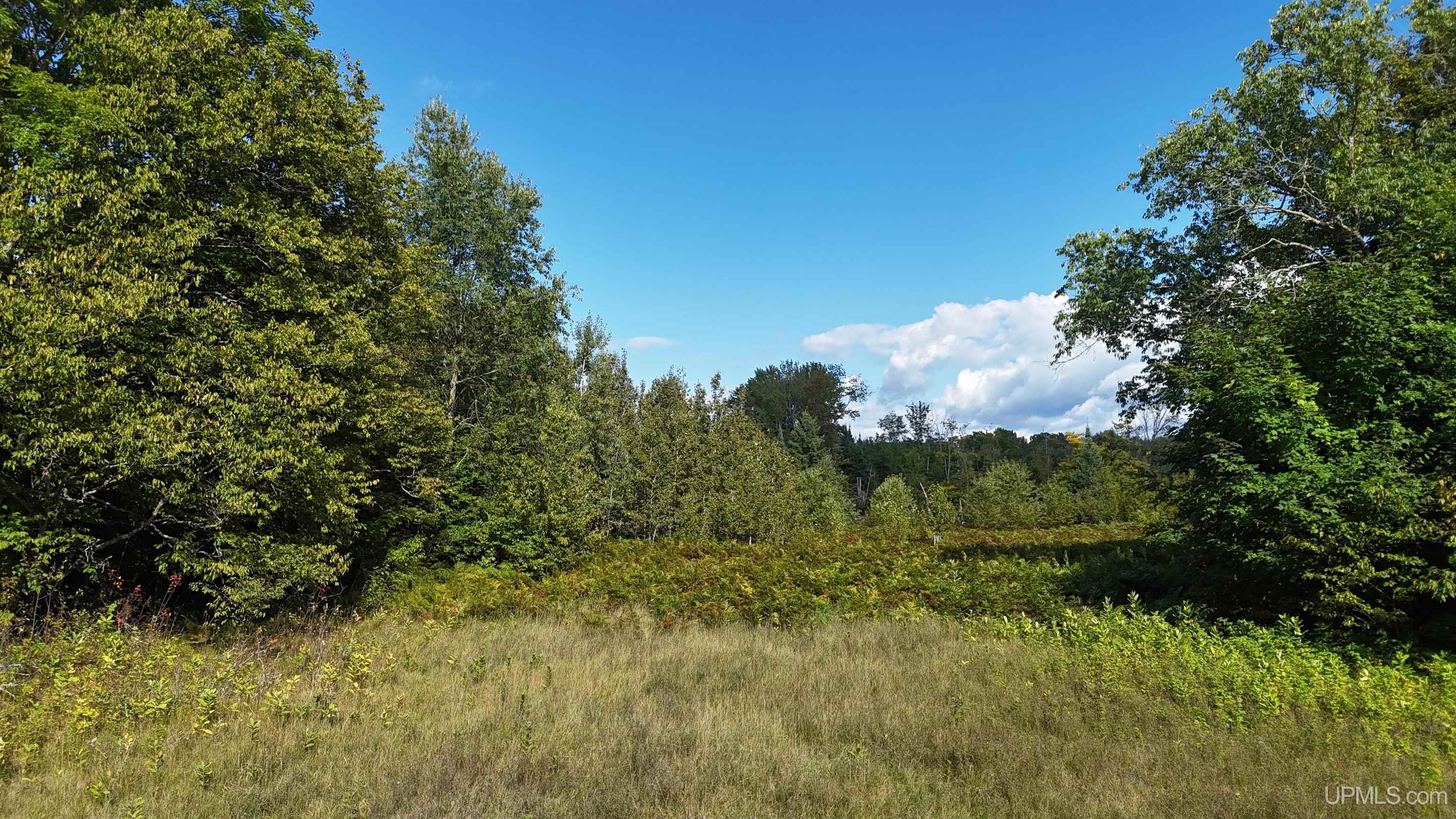 Tbd West Ford Lake Road Germfask, MI 49836 - Photo 13 of 22 Gallery Image 13
