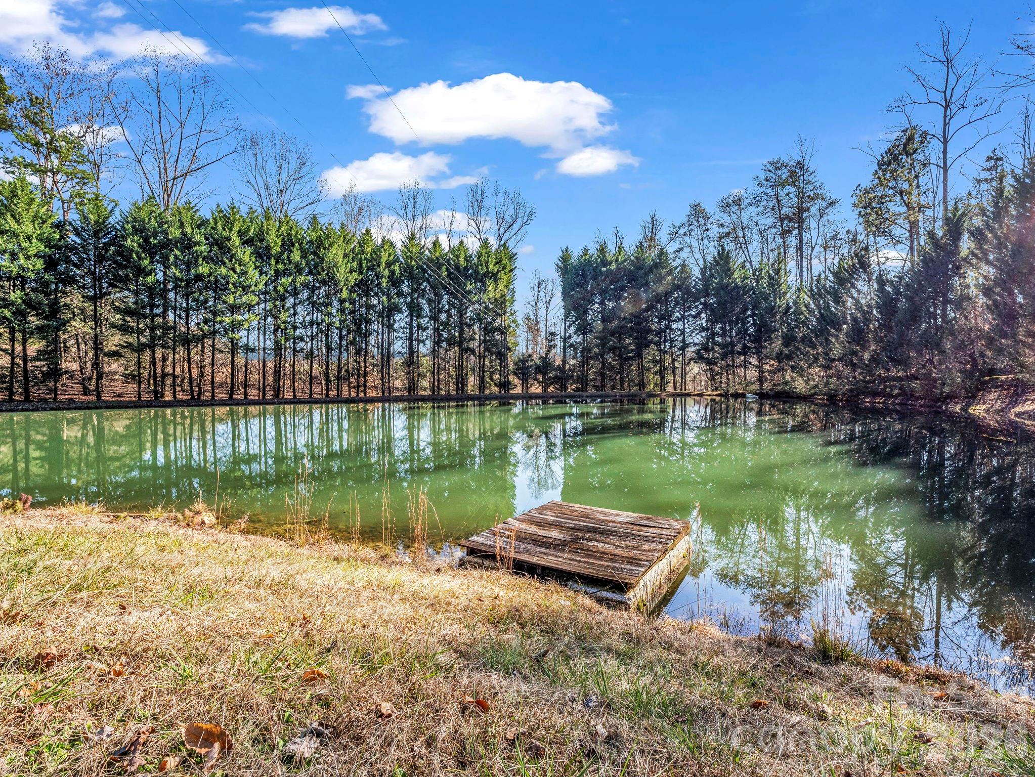 650 Smith Waldrop Road Columbus, NC 28722 - Photo 5 of 27