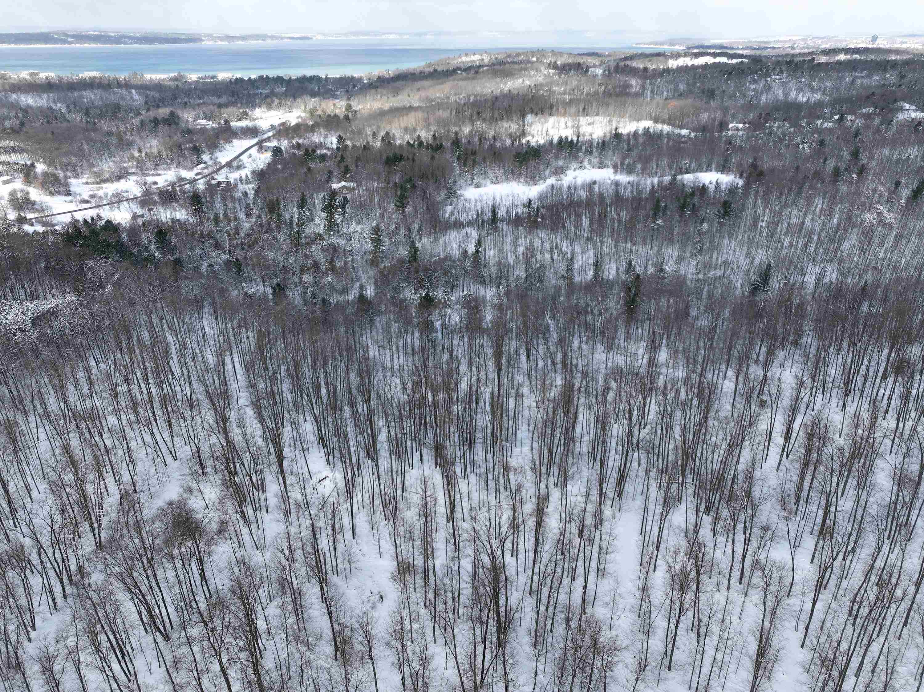 0 Prouty Road Traverse City, MI 49686 - Photo 11 of 40
