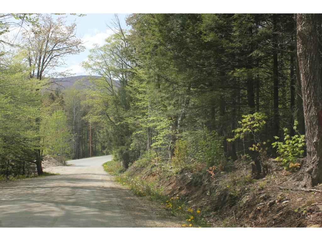 485 South Road Peru, VT 05152 - Photo 1 of 9 Gallery Image 1