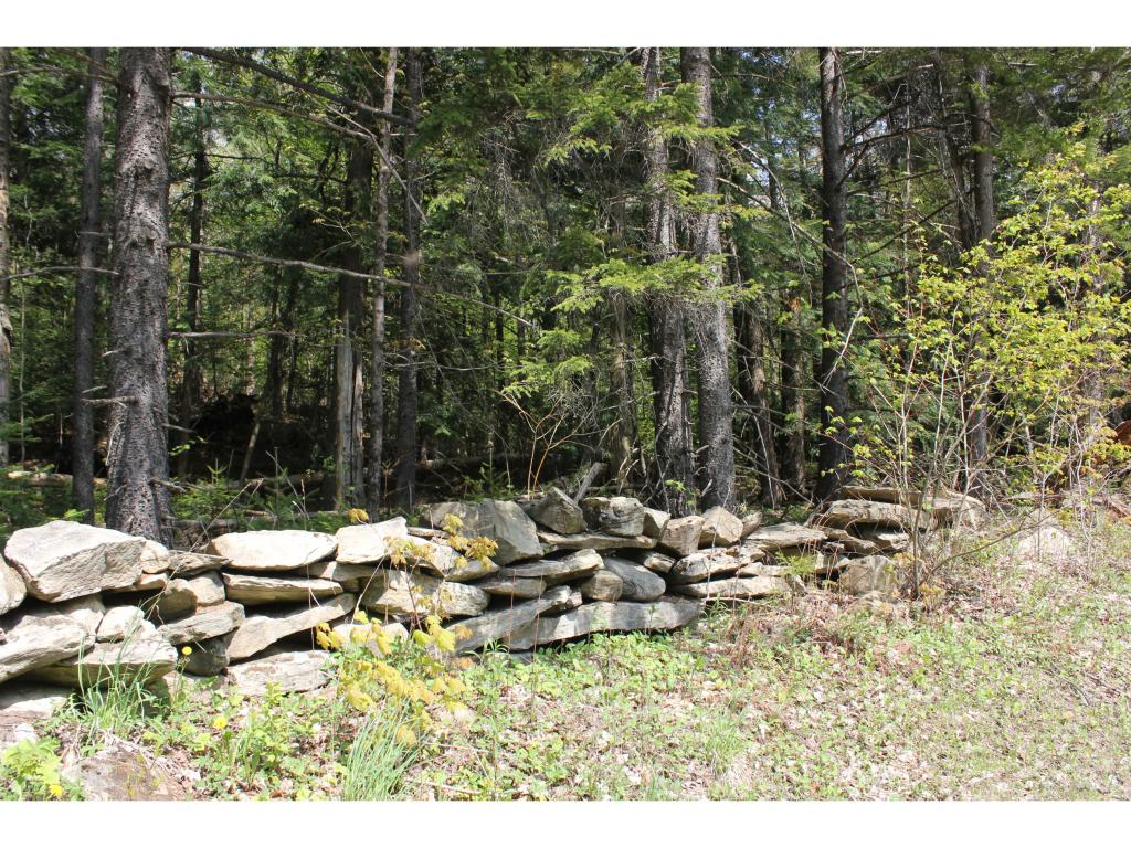 485 South Road Peru, VT 05152 - Photo 2 of 9 Gallery Image 2