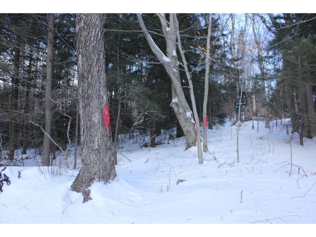 485 South Road Peru, VT 05152 - Photo 6 of 9 Gallery Image 6