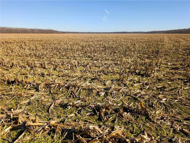 $5,654,000 | County Road, Sweet Springs, MO 65351