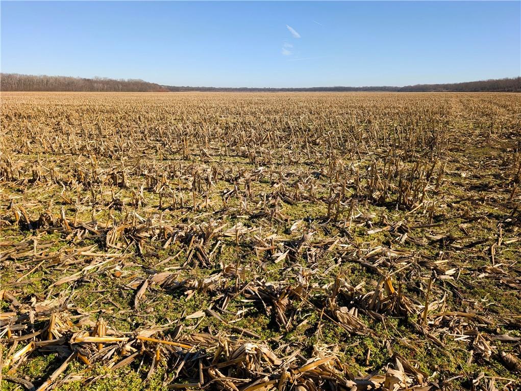 County Road Sweet Springs, MO 65351 - Photo 31 of 39