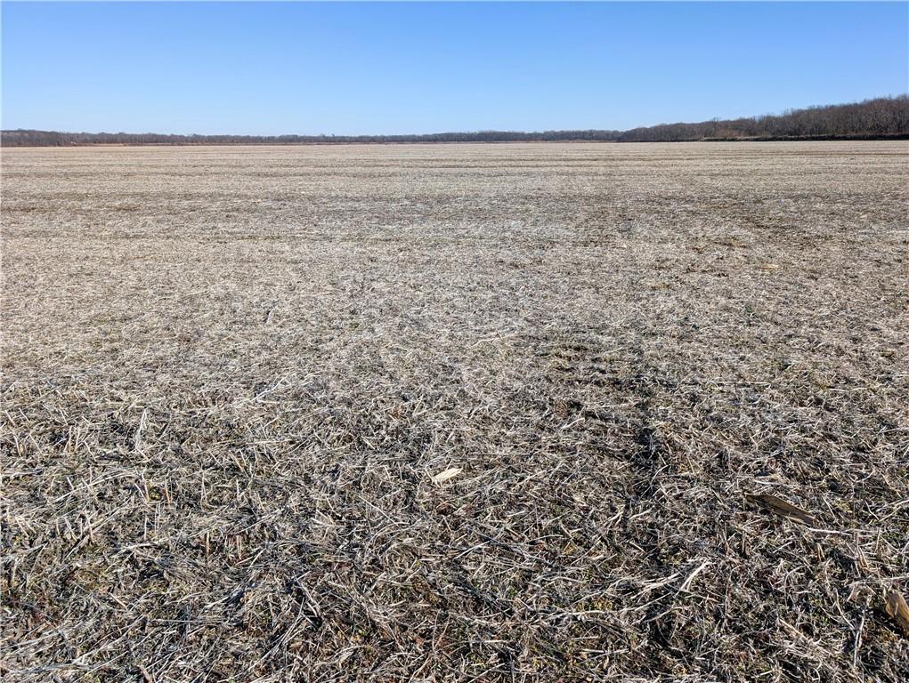 County Road Sweet Springs, MO 65351 - Photo 32 of 39