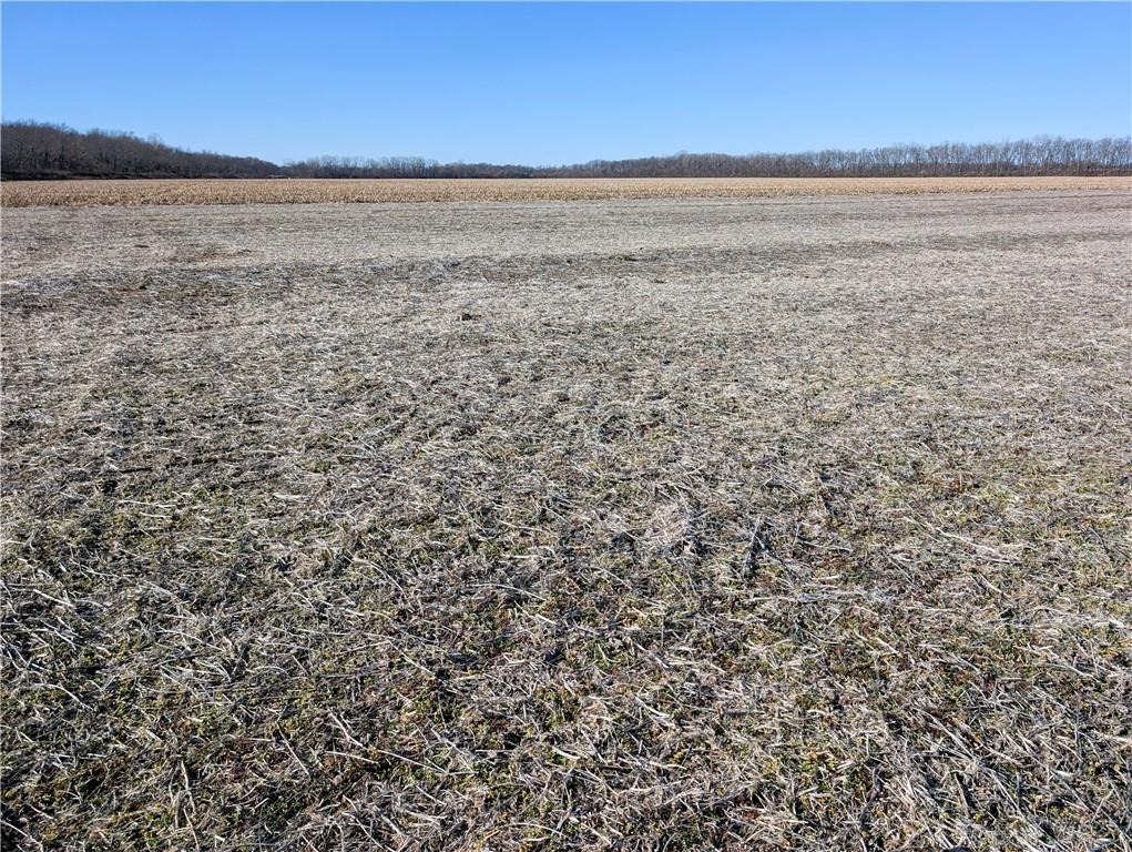 County Road Sweet Springs, MO 65351 - Photo 33 of 39