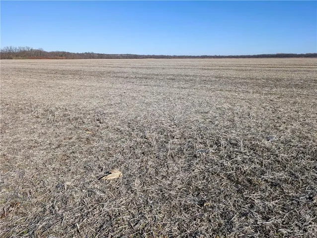 $5,654,000 | County Road, Sweet Springs, MO 65351