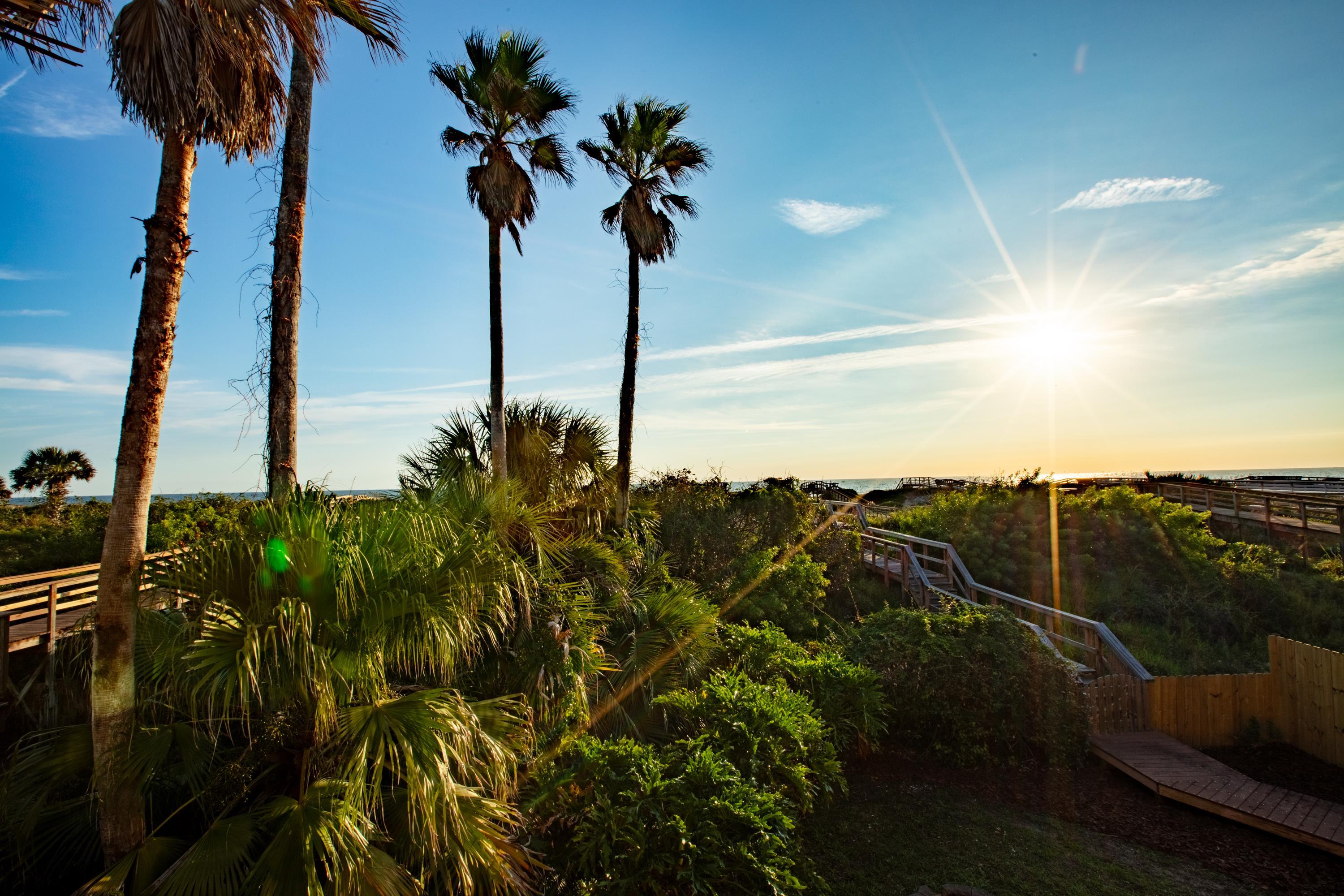 5336 Atlantic View St. Augustine, FL 32080 - Photo 25 of 100