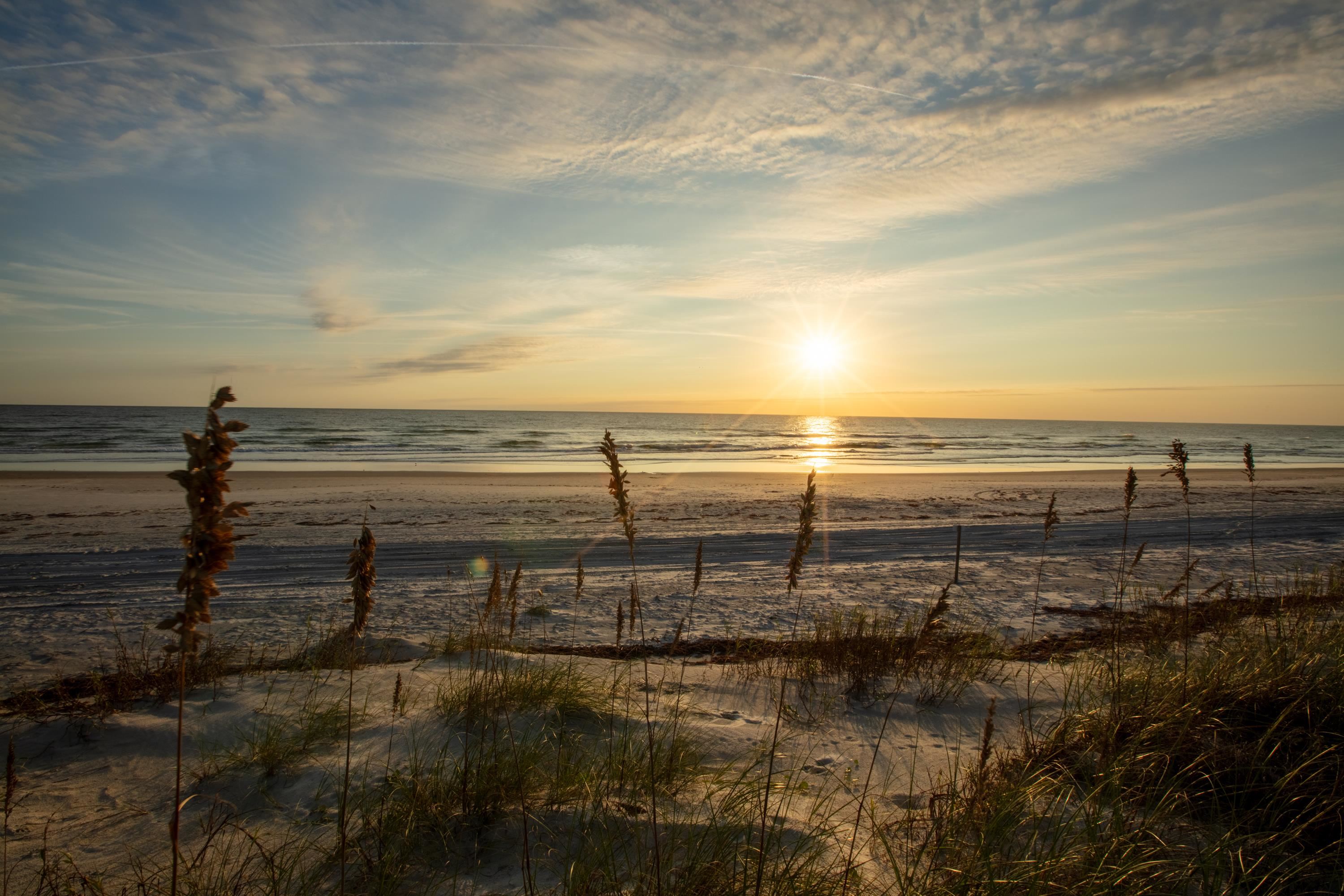 5336 Atlantic View St. Augustine, FL 32080 - Photo 96 of 100