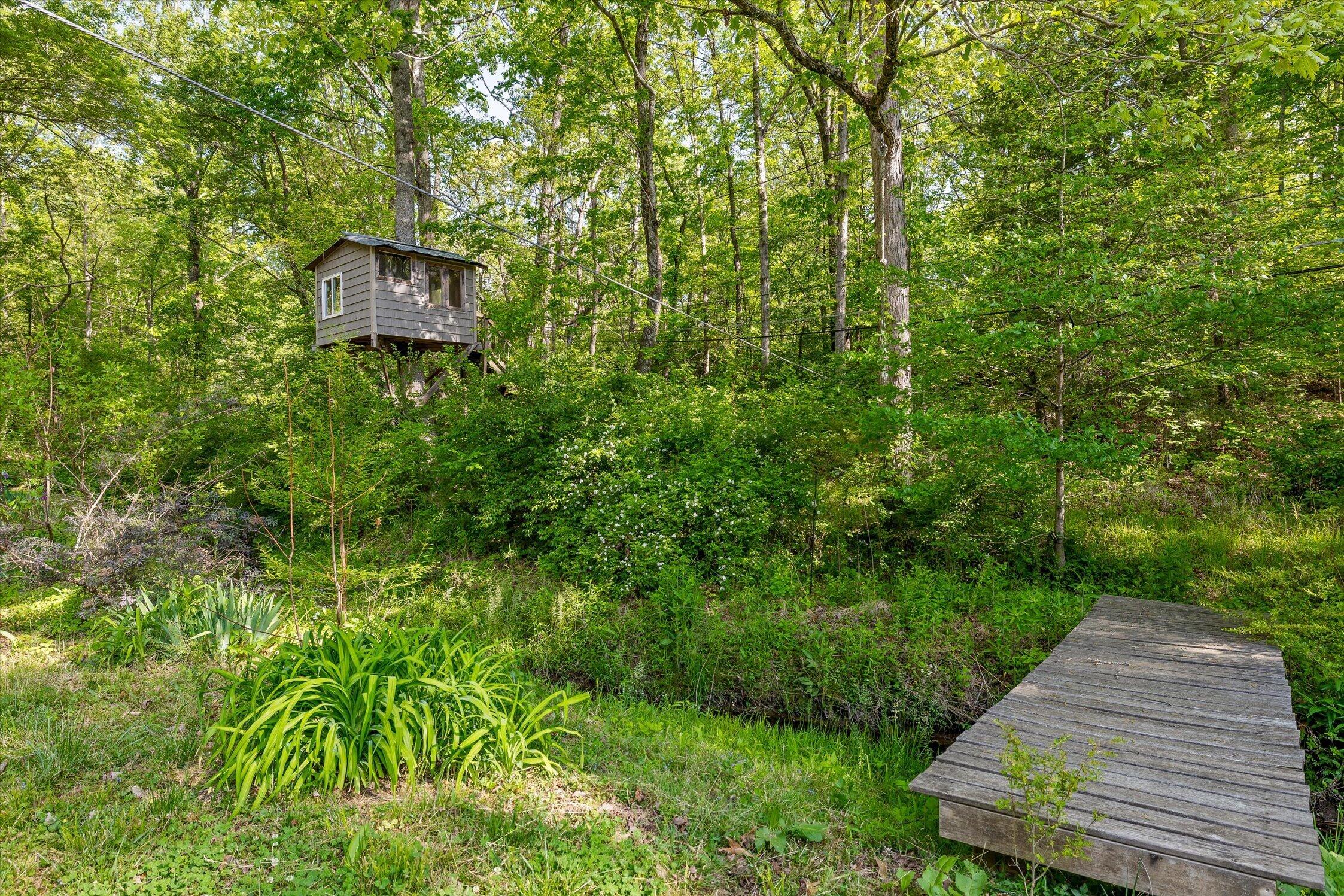 511 Barrington Road Signal Mountain, TN 37377 - Photo 67 of 80 Bridge to Treehouse