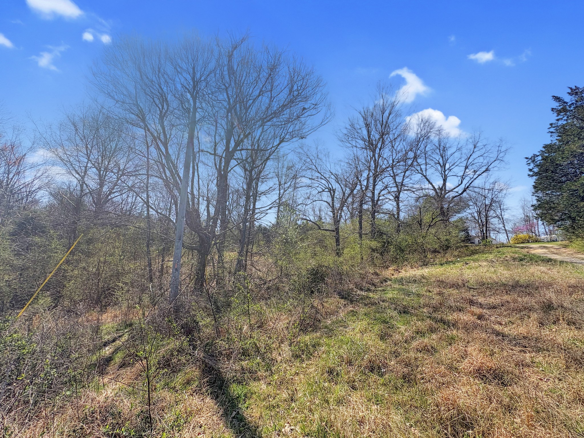 0 Clifton Cemetery Road Dickson, TN 37055 - Photo 2 of 9