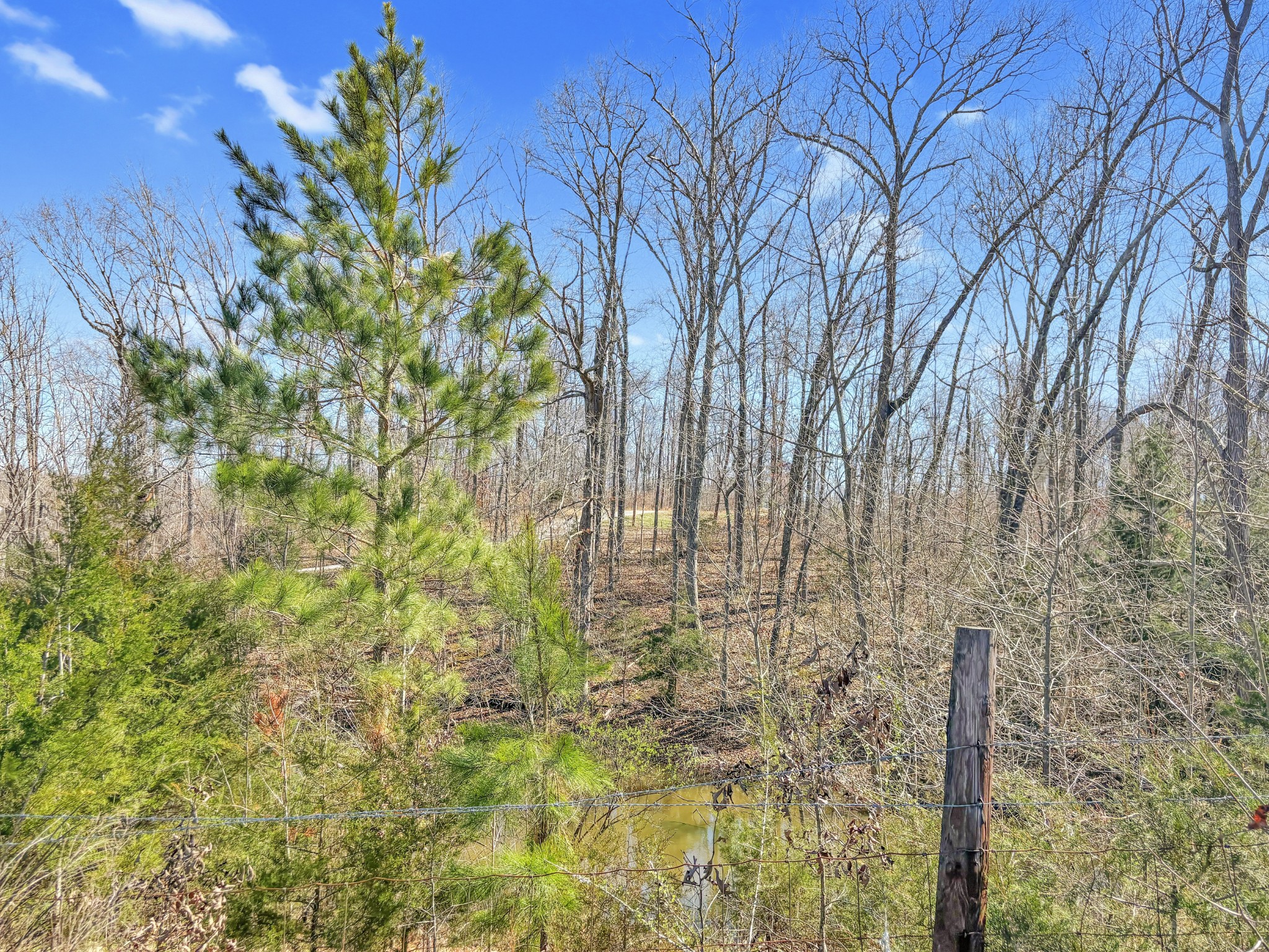 0 Clifton Cemetery Road Dickson, TN 37055 - Photo 3 of 9