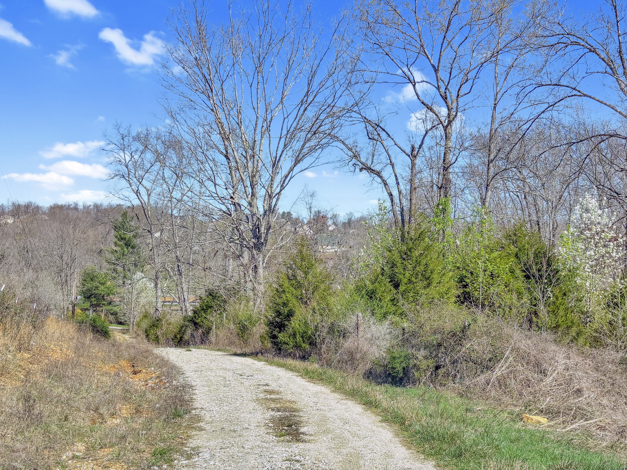 0 Clifton Cemetery Road Dickson, TN 37055 - Photo 4 of 9