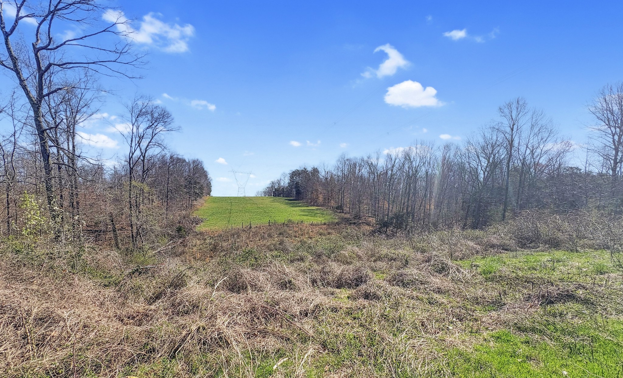 0 Clifton Cemetery Road Dickson, TN 37055 - Photo 5 of 9