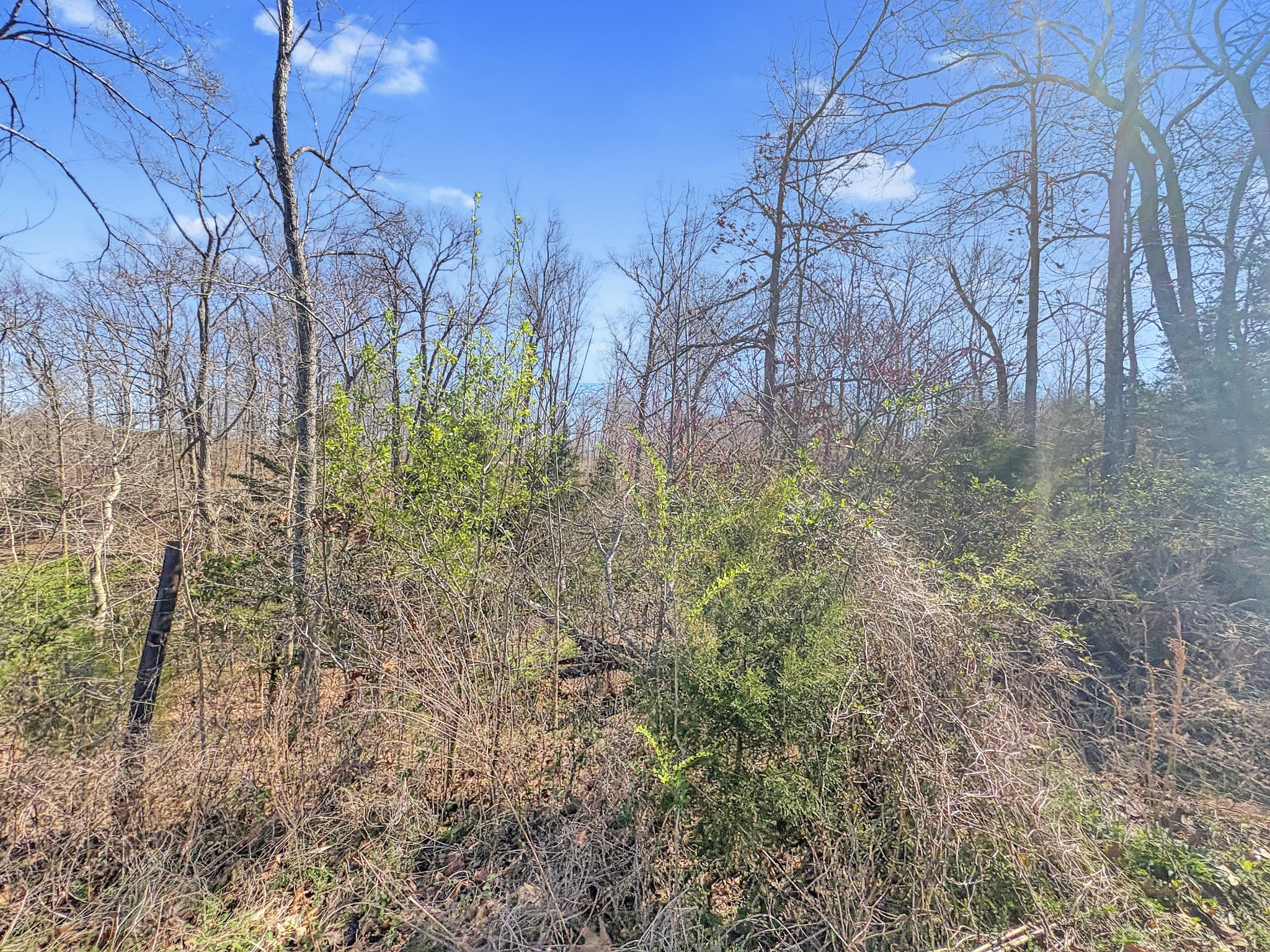 0 Clifton Cemetery Road Dickson, TN 37055 - Photo 6 of 9