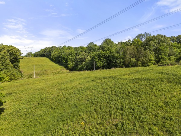 0 Clifton Cemetery Road Dickson, TN 37055 - Photo 7 of 9 a view of a field with an empty space