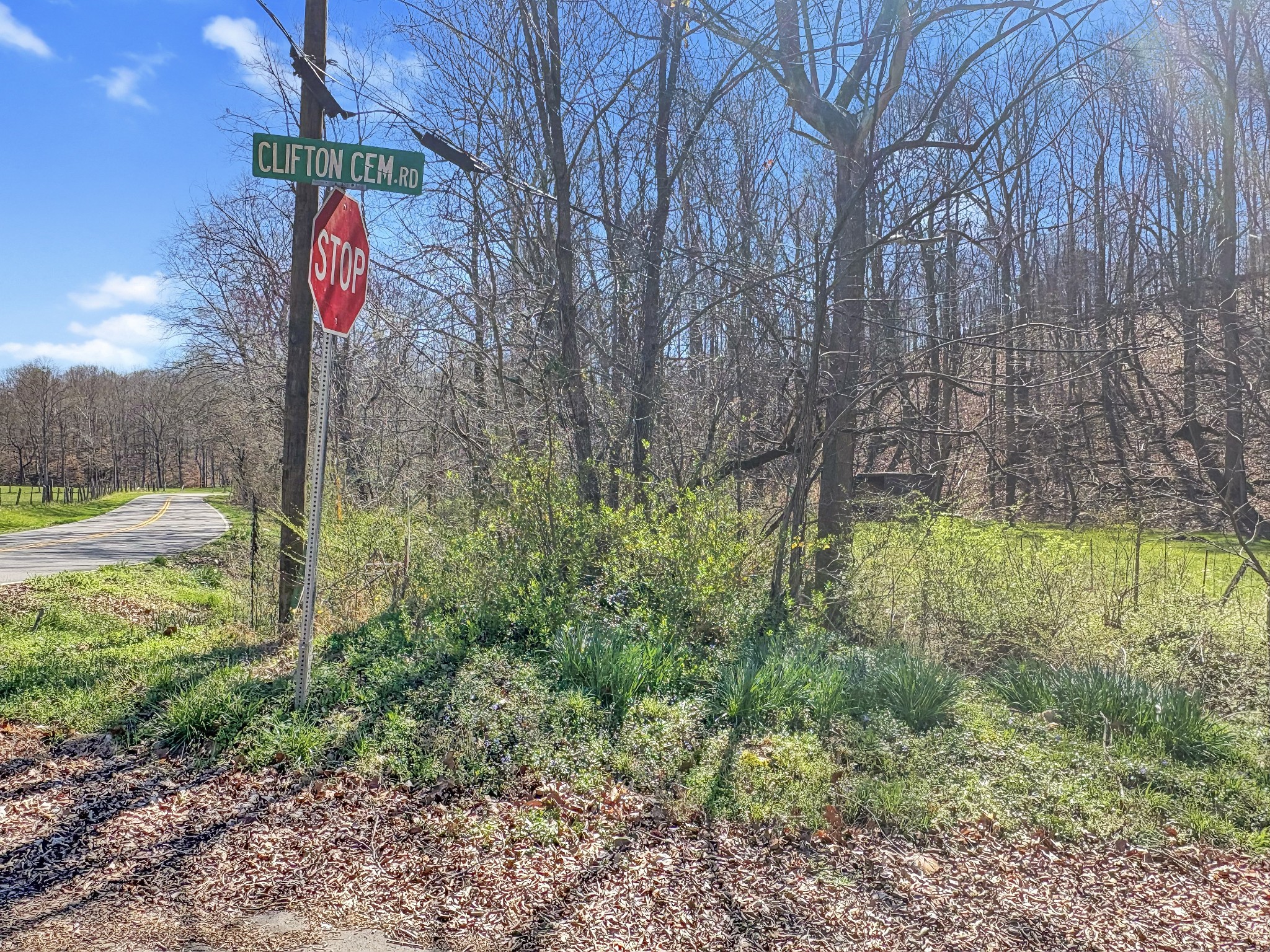 0 Clifton Cemetery Road Dickson, TN 37055 - Photo 9 of 9