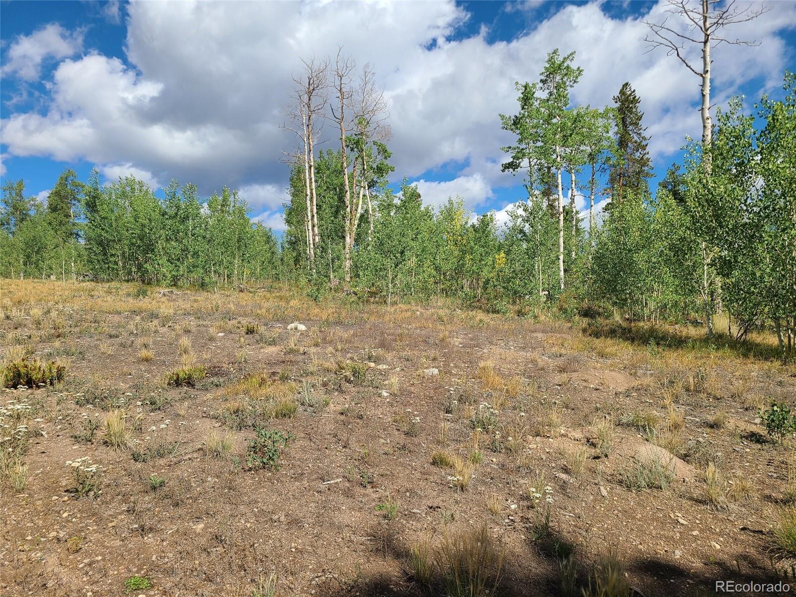 757 Thompson Park Road Fairplay, CO 80440 - Photo 19 of 34 Gallery Image 19