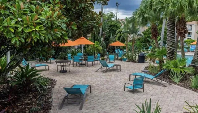 a plant that is in a garden