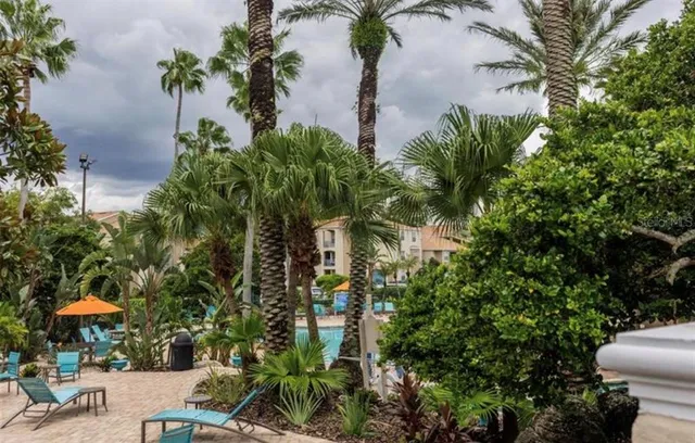 a view of a tennis ground with large trees
