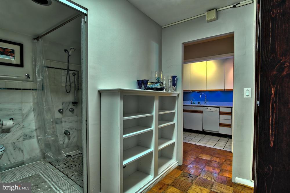 520 N Street Southwest, Unit S112 Washington, DC 20024 - Photo 22 of 30 a view of walk in closet