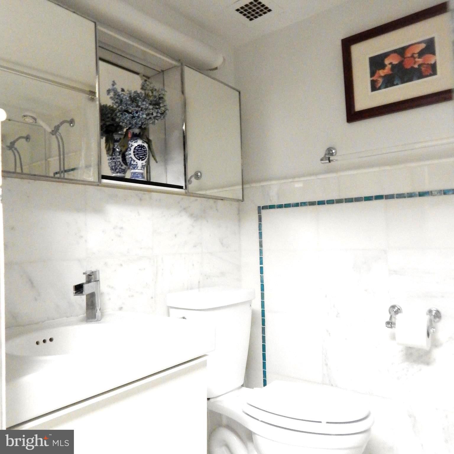 520 N Street Southwest, Unit S112 Washington, DC 20024 - Photo 23 of 30 a bathroom with a shower and a toilet