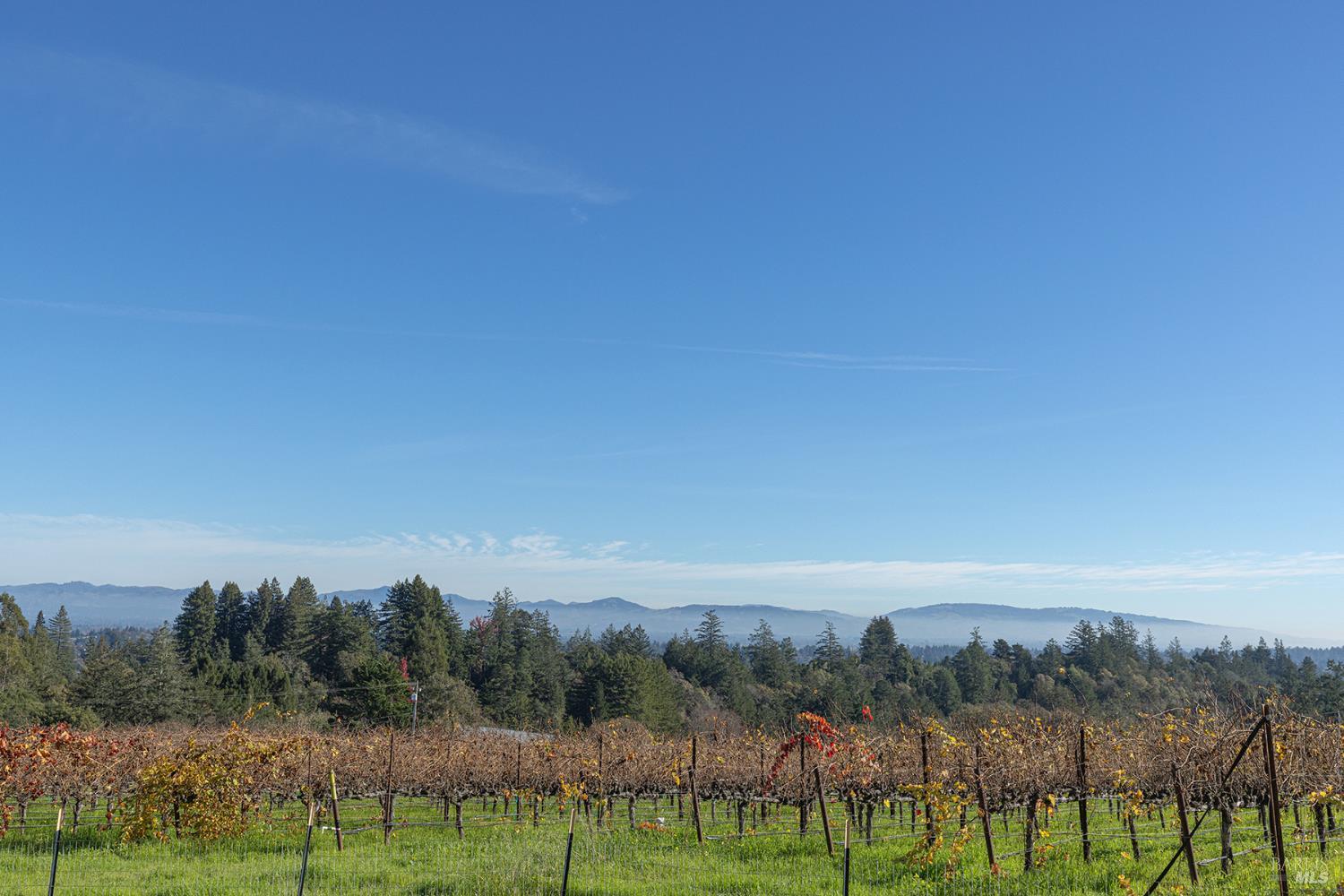1365 Grandview Road Sebastopol, CA 95472 - Photo 64 of 74