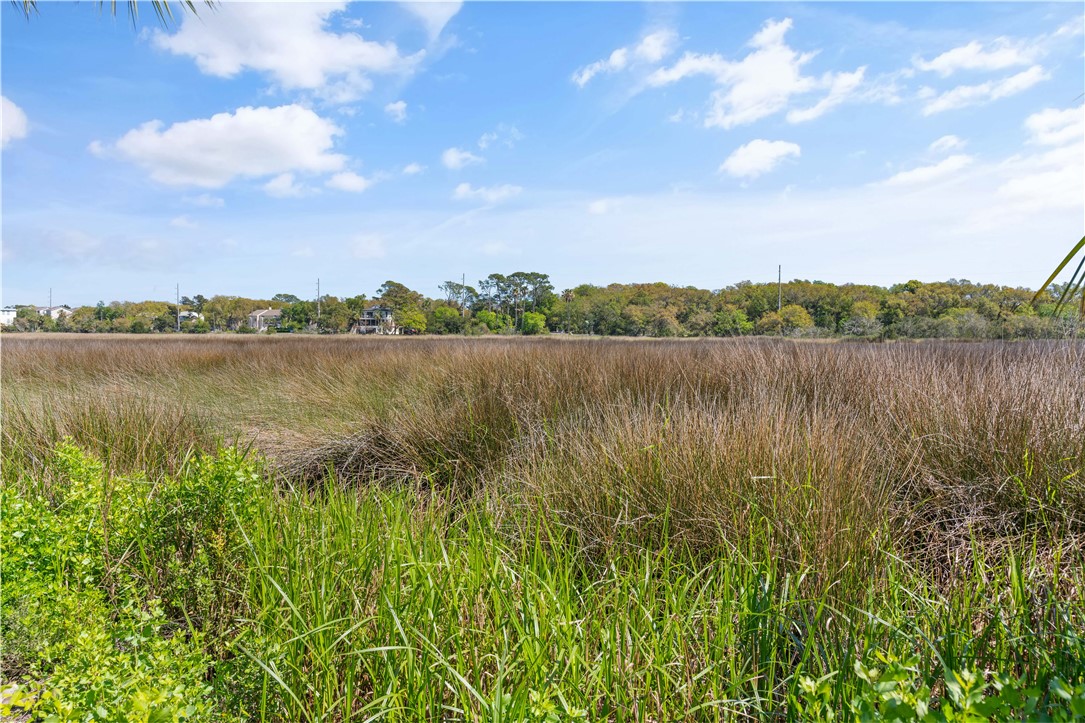 134 Compass Point Drive St. Simons Island, GA 31522 - Photo 72 of 77