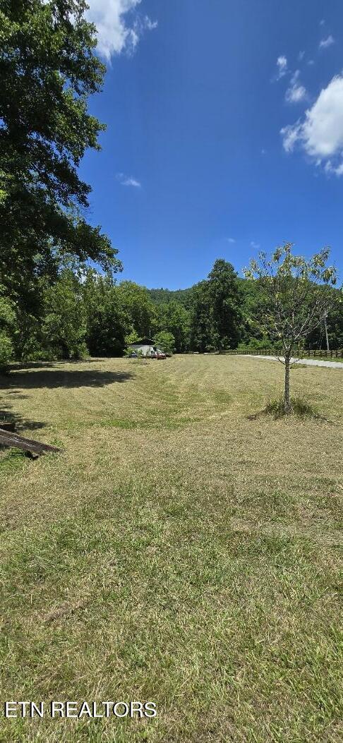 3894 Buffalo Road Oneida, TN 37841 - Photo 26 of 38 20260702_134015