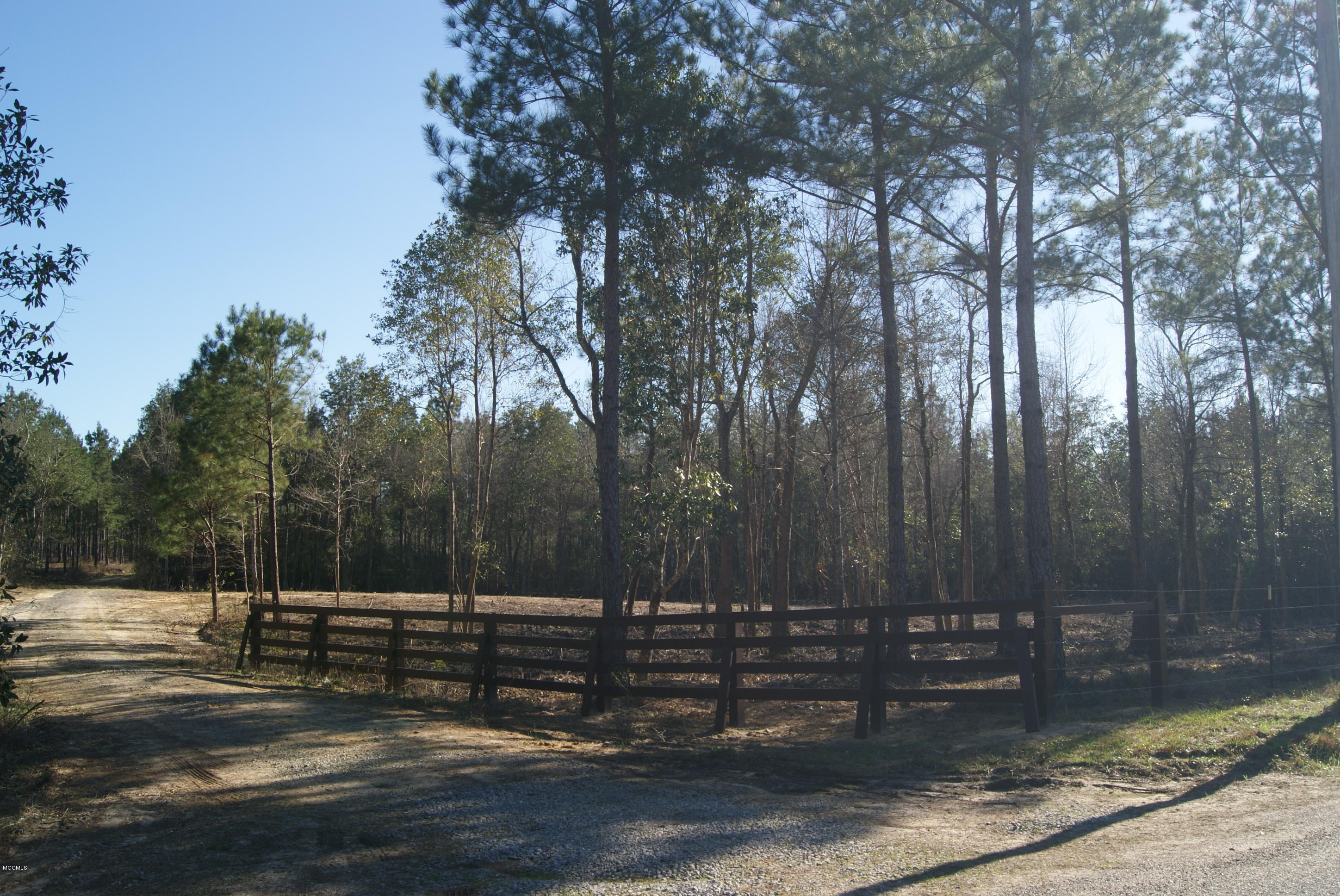 Tbd Owen Ladner Road Perkinston, MS 39573 - Photo 1 of 22 DSC04913