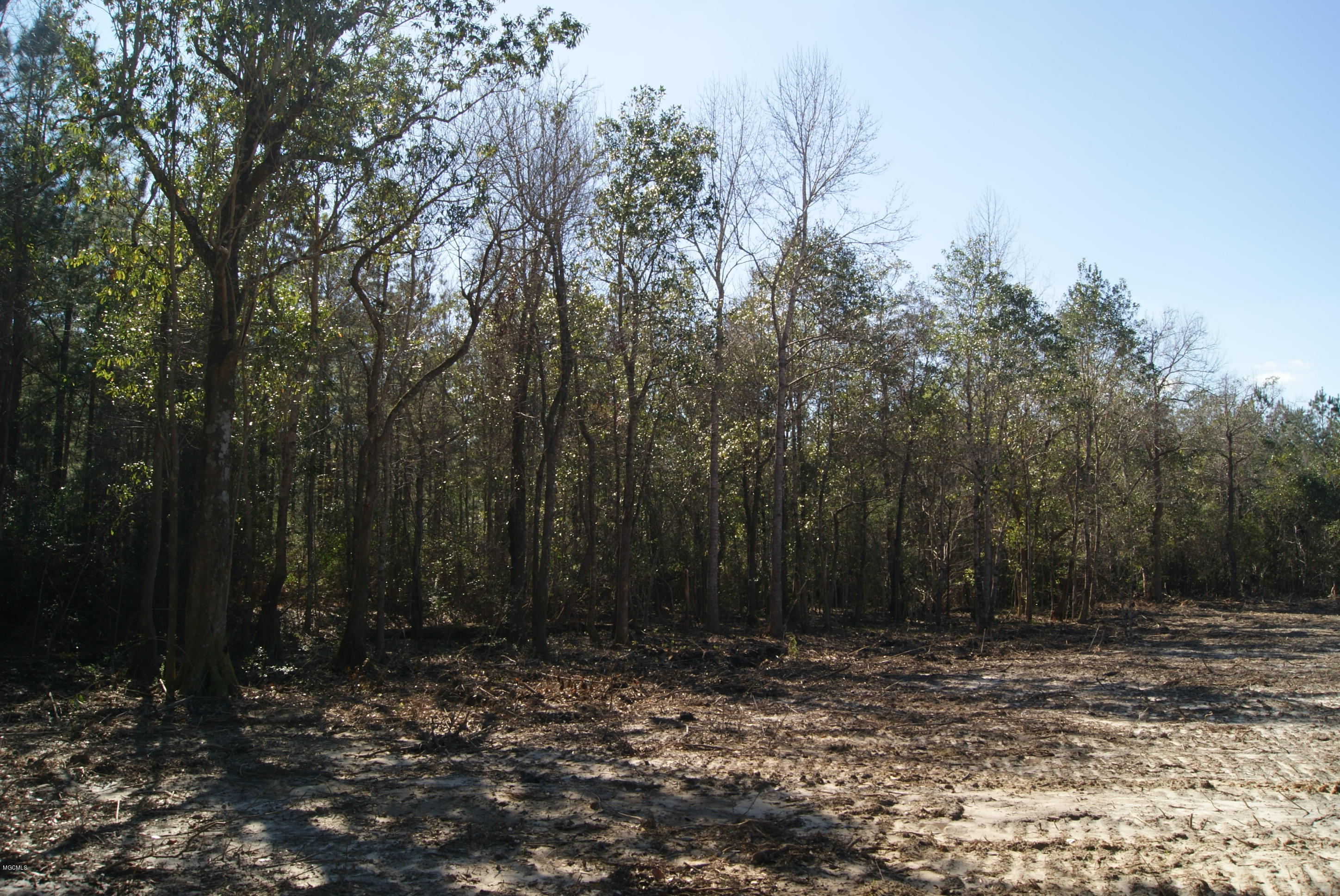 Tbd Owen Ladner Road Perkinston, MS 39573 - Photo 11 of 22 DSC04901