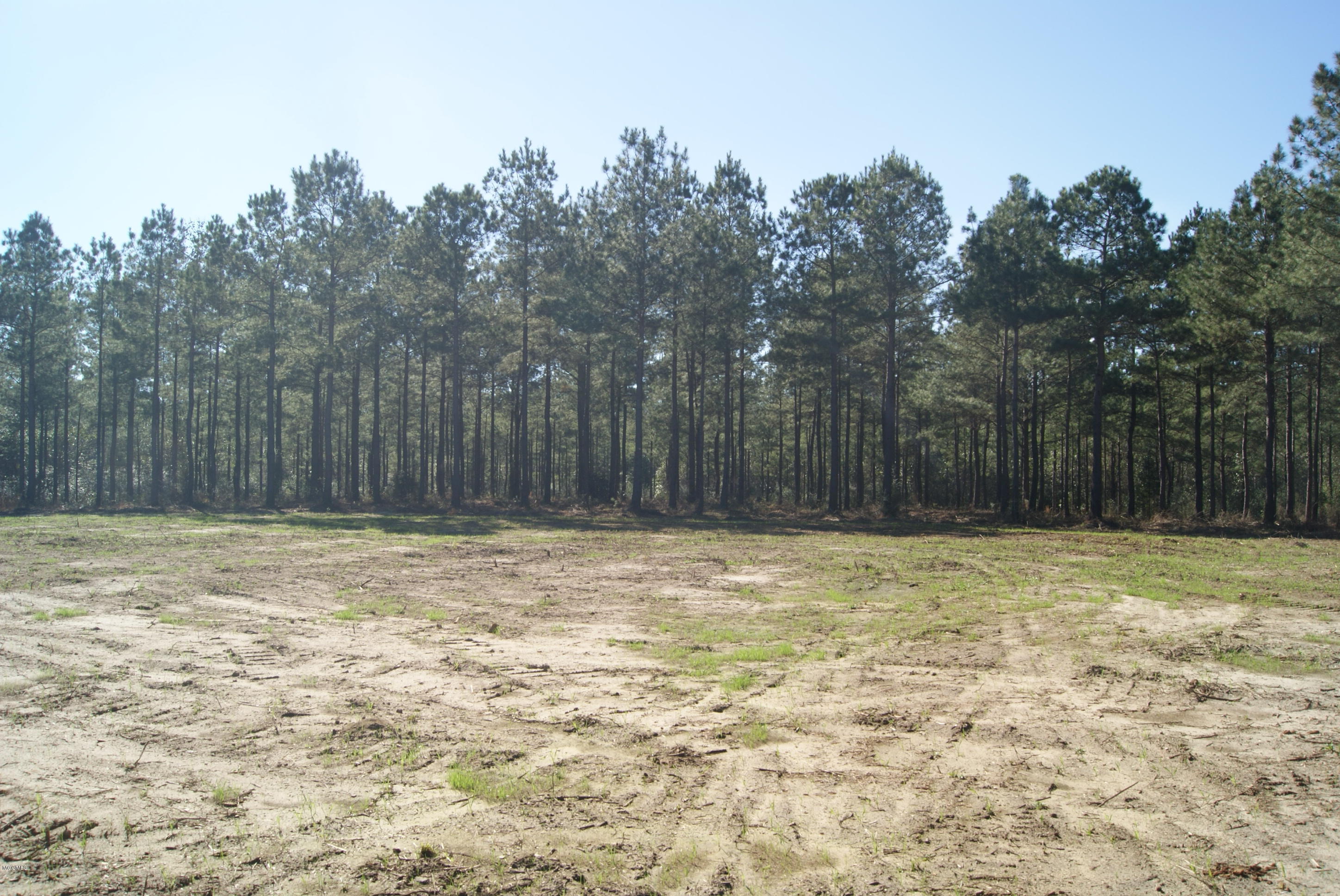 Tbd Owen Ladner Road Perkinston, MS 39573 - Photo 13 of 22 DSC04903