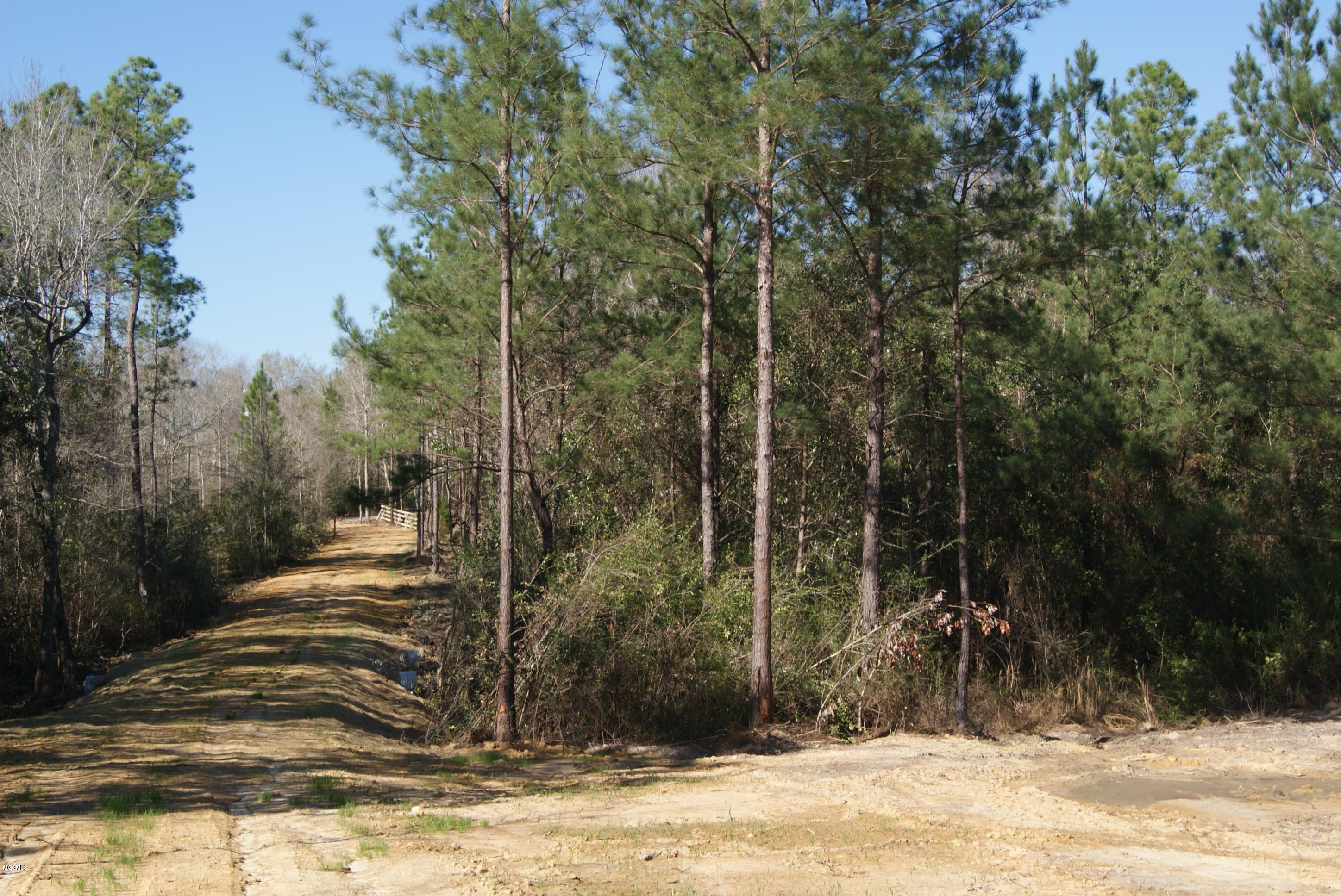 Tbd Owen Ladner Road Perkinston, MS 39573 - Photo 18 of 22 DSC04911