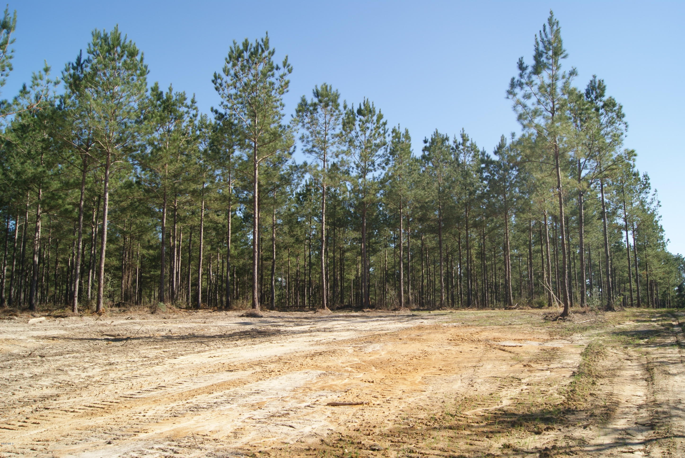 Tbd Owen Ladner Road Perkinston, MS 39573 - Photo 19 of 22 DSC04912