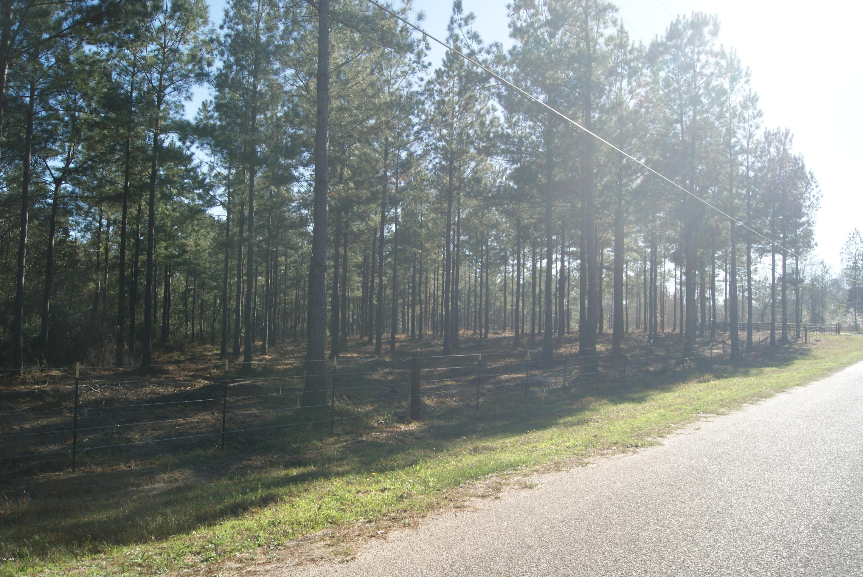 Tbd Owen Ladner Road Perkinston, MS 39573 - Photo 20 of 22 DSC04914